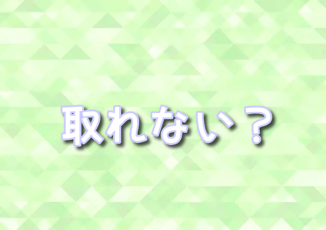 ディズニー　スマホない人